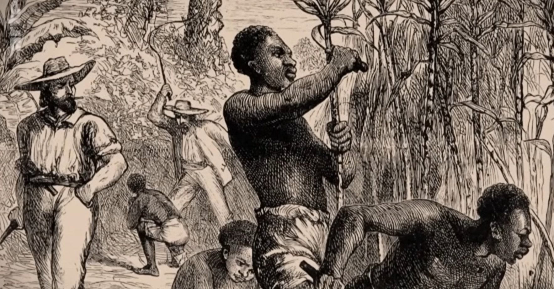 Plantation slavery in Saint-Domingue